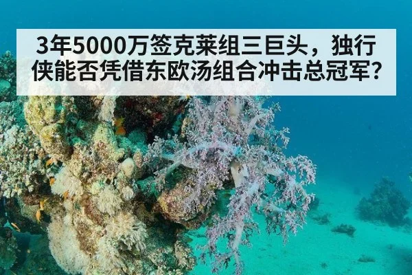 3年5000万签克莱组三巨头，独行侠能否凭借东欧汤组合冲击总冠军？